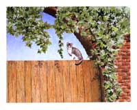 On the Watch